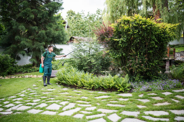 Best Pest Removal Services  in Jeffersonville, IN