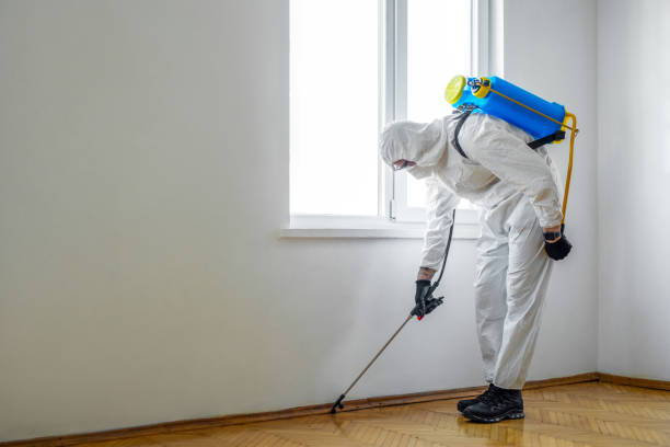 Best Flea Control Services  in Jeffersonville, IN