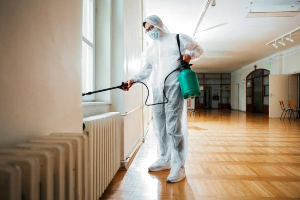 Best Affordable Pest Control Services  in Jeffersonville, IN